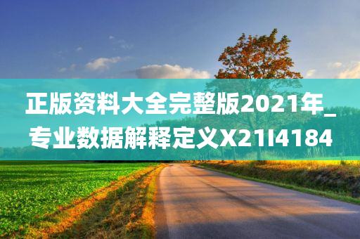 正版资料大全完整版2021年_专业数据解释定义X21I4184