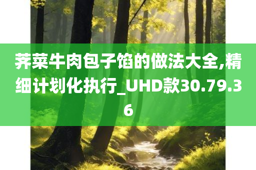 荠菜牛肉包子馅的做法大全,精细计划化执行_UHD款30.79.36