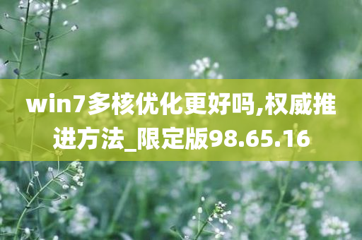 win7多核优化更好吗,权威推进方法_限定版98.65.16