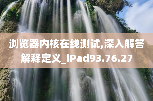 浏览器内核在线测试,深入解答解释定义_iPad93.76.27