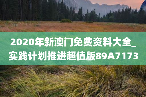 2020年新澳门免费资料大全_实践计划推进超值版89A7173