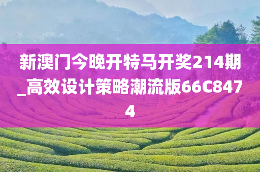 新澳门今晚开特马开奖214期_高效设计策略潮流版66C8474