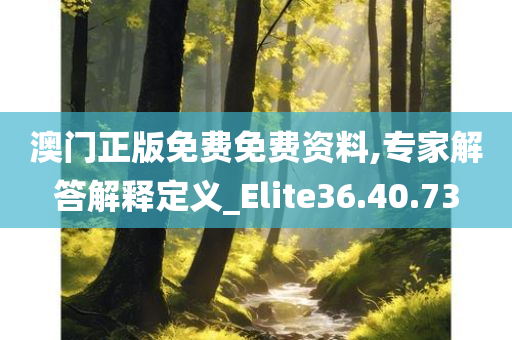 澳门正版免费免费资料,专家解答解释定义_Elite36.40.73