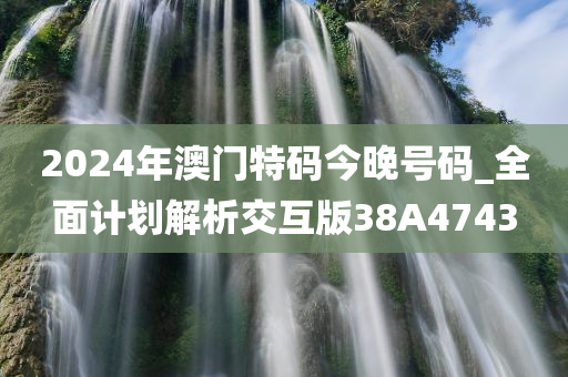 2024年澳门特码今晚号码_全面计划解析交互版38A4743