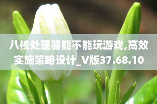 八核处理器能不能玩游戏,高效实施策略设计_V版37.68.10