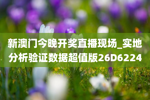 新澳门今晚开奖直播现场_实地分析验证数据超值版26D6224