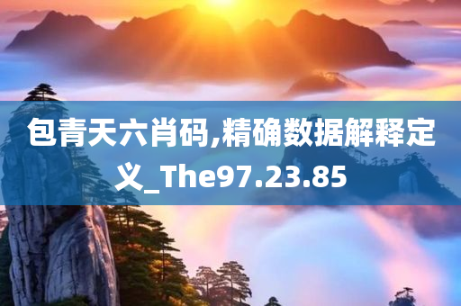 包青天六肖码,精确数据解释定义_The97.23.85