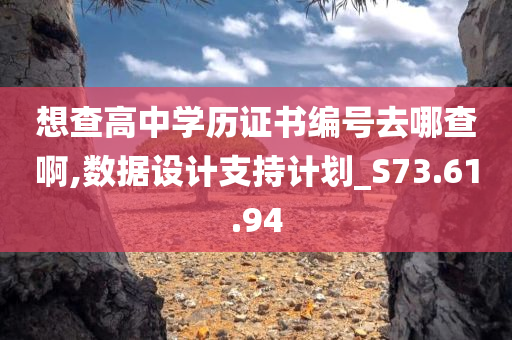 想查高中学历证书编号去哪查啊,数据设计支持计划_S73.61.94