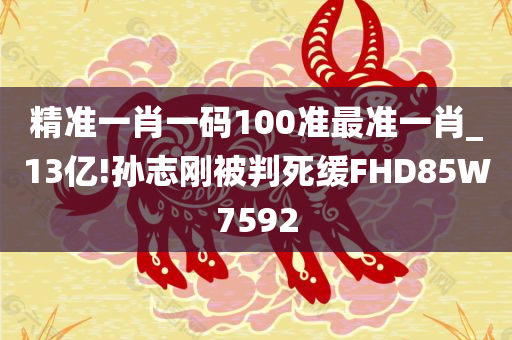 精准一肖一码100准最准一肖_13亿!孙志刚被判死缓FHD85W7592