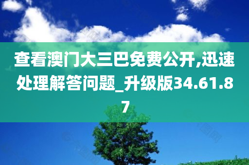 查看澳门大三巴免费公开,迅速处理解答问题_升级版34.61.87