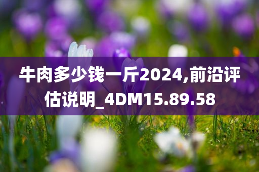 牛肉多少钱一斤2024,前沿评估说明_4DM15.89.58