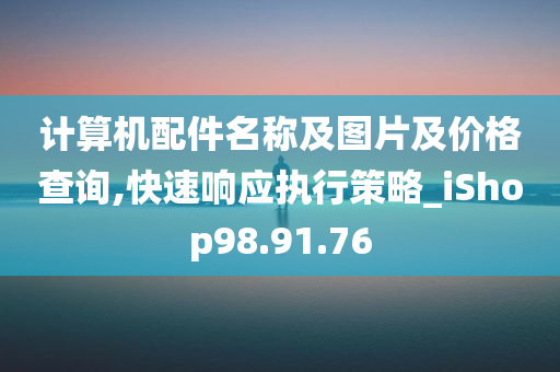 计算机配件名称及图片及价格查询,快速响应执行策略_iShop98.91.76