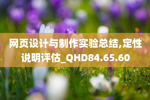 网页设计与制作实验总结,定性说明评估_QHD84.65.60