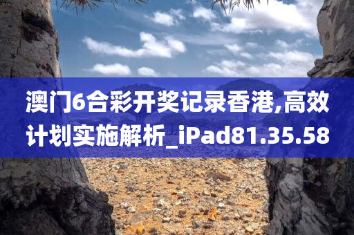 澳门6合彩开奖记录香港,高效计划实施解析_iPad81.35.58