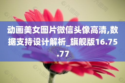 动画美女图片微信头像高清,数据支持设计解析_旗舰版16.75.77