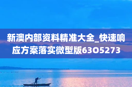 新澳内部资料精准大全_快速响应方案落实微型版63O5273