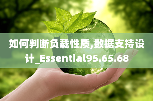 如何判断负载性质,数据支持设计_Essential95.65.68