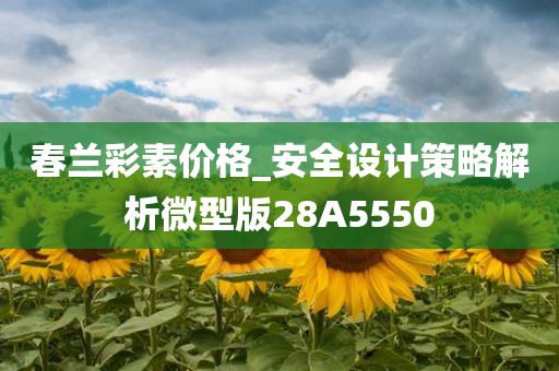 春兰彩素价格_安全设计策略解析微型版28A5550