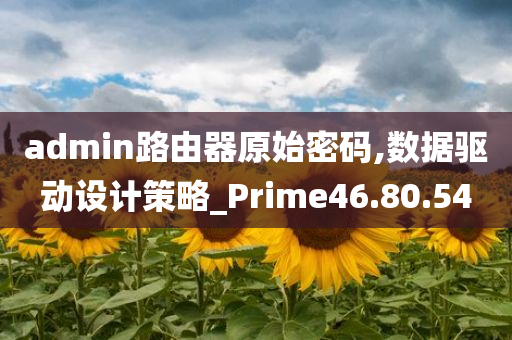 admin路由器原始密码,数据驱动设计策略_Prime46.80.54