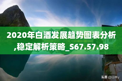 2020年白酒发展趋势图表分析,稳定解析策略_S67.57.98