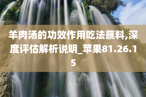 羊肉汤的功效作用吃法蘸料,深度评估解析说明_苹果81.26.15