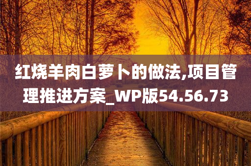 红烧羊肉白萝卜的做法,项目管理推进方案_WP版54.56.73