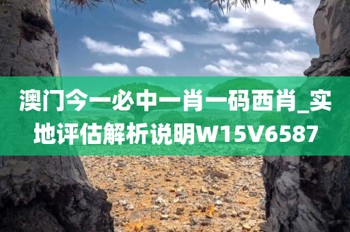 澳门今一必中一肖一码西肖_实地评估解析说明W15V6587