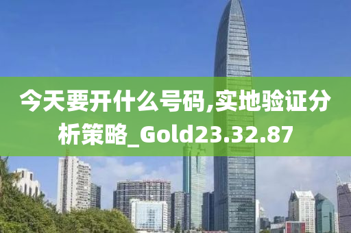 今天要开什么号码,实地验证分析策略_Gold23.32.87