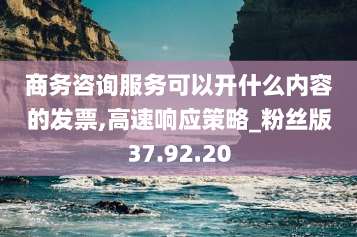 商务咨询服务可以开什么内容的发票,高速响应策略_粉丝版37.92.20