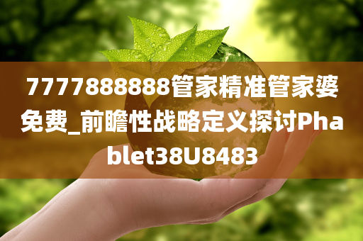 7777888888管家精准管家婆免费_前瞻性战略定义探讨Phablet38U8483