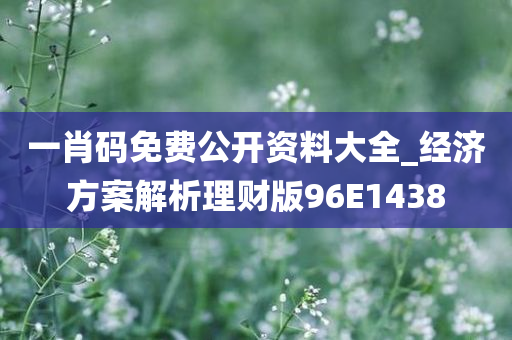 一肖码免费公开资料大全_经济方案解析理财版96E1438