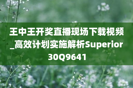 王中王开奖直播现场下载视频_高效计划实施解析Superior30Q9641