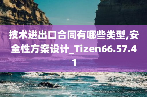 技术进出口合同有哪些类型,安全性方案设计_Tizen66.57.41