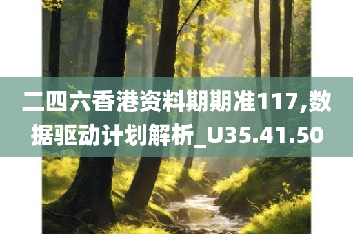 二四六香港资料期期准117,数据驱动计划解析_U35.41.50