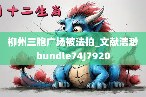 柳州三胞广场被法拍_文献浩渺bundle74J7920