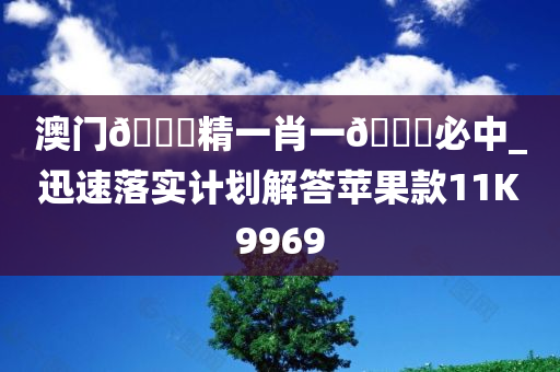 澳门🐎精一肖一🐎必中_迅速落实计划解答苹果款11K9969