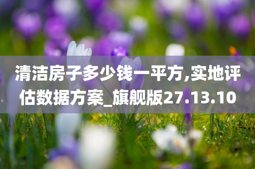 清洁房子多少钱一平方,实地评估数据方案_旗舰版27.13.10