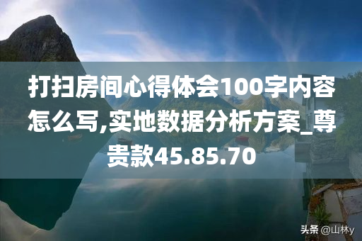 打扫房间心得体会100字内容怎么写,实地数据分析方案_尊贵款45.85.70