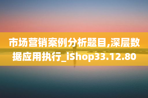 市场营销案例分析题目,深层数据应用执行_iShop33.12.80