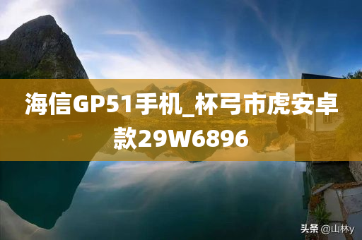 海信GP51手机_杯弓市虎安卓款29W6896