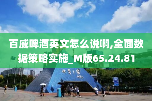 百威啤酒英文怎么说啊,全面数据策略实施_M版65.24.81