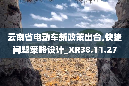 云南省电动车新政策出台,快捷问题策略设计_XR38.11.27