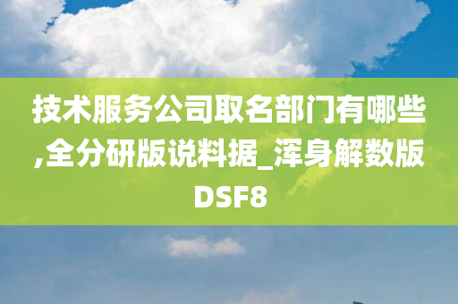 技术服务公司取名部门有哪些,全分研版说料据_浑身解数版DSF8