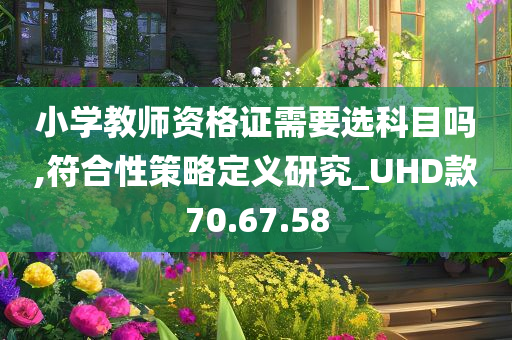 小学教师资格证需要选科目吗,符合性策略定义研究_UHD款70.67.58