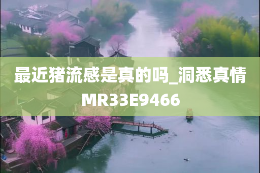 最近猪流感是真的吗_洞悉真情MR33E9466