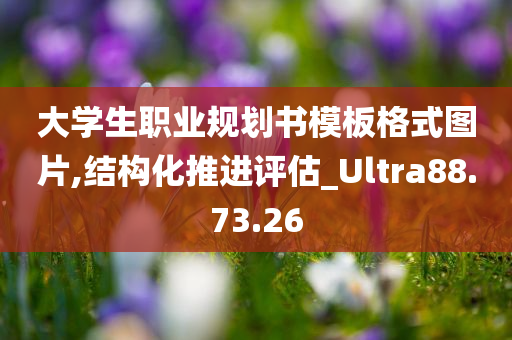 大学生职业规划书模板格式图片,结构化推进评估_Ultra88.73.26