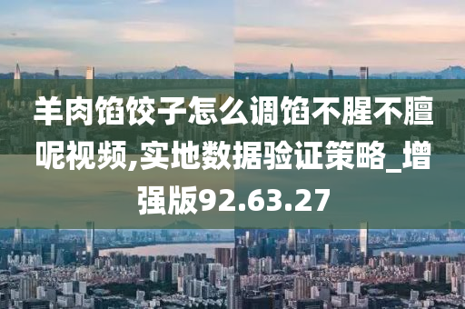 羊肉馅饺子怎么调馅不腥不膻呢视频,实地数据验证策略_增强版92.63.27