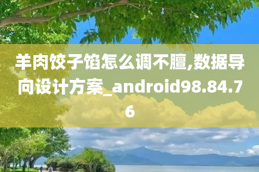 羊肉饺子馅怎么调不膻,数据导向设计方案_android98.84.76