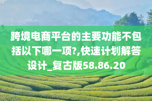 跨境电商平台的主要功能不包括以下哪一项?,快速计划解答设计_复古版58.86.20