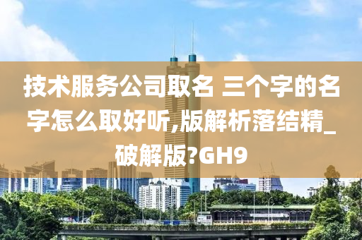 技术服务公司取名 三个字的名字怎么取好听,版解析落结精_破解版?GH9